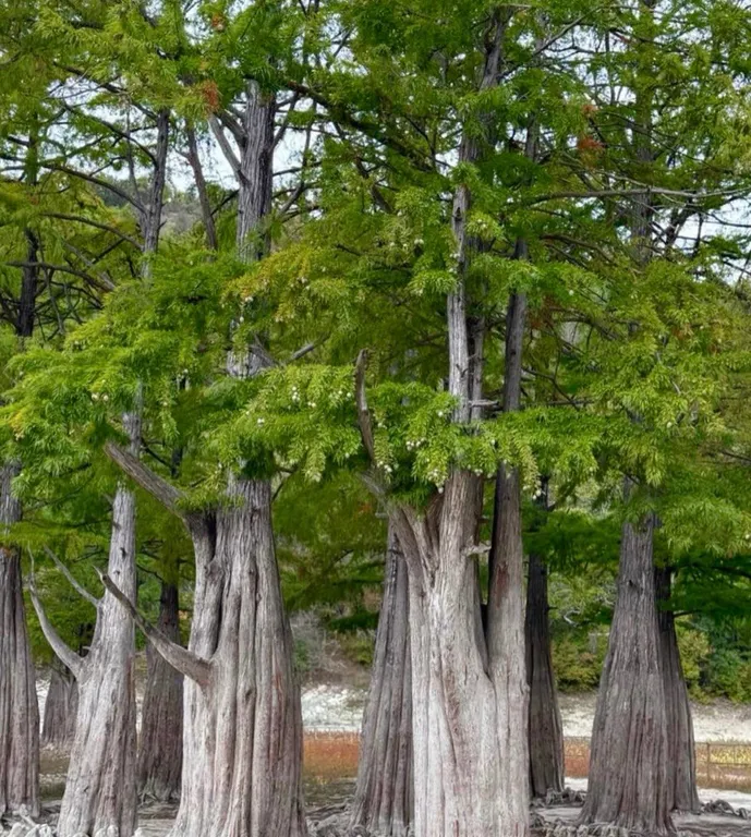 1-комнатная квартира на море с бассейном