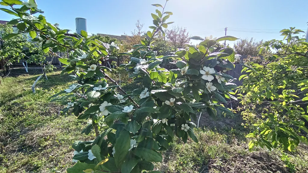 Дачный домик