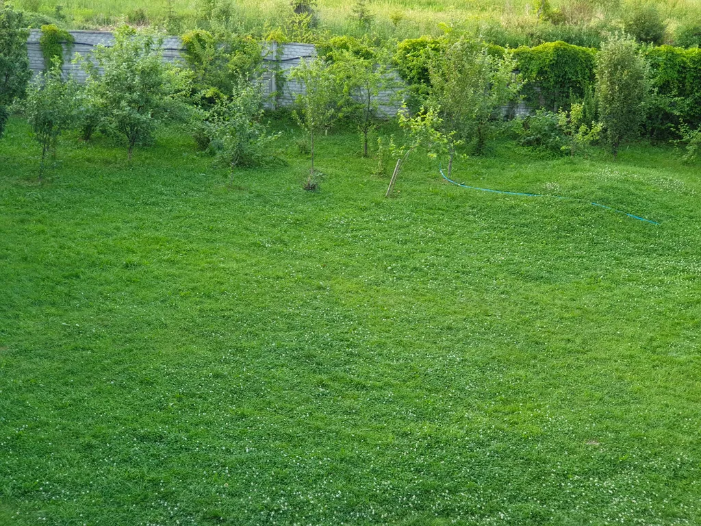 Дом дизайн 20соток баня экскурсии на ретроавто "Винтажные туры" центр