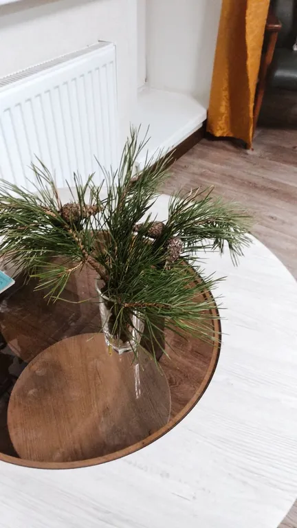 Просторная студия в новом доме