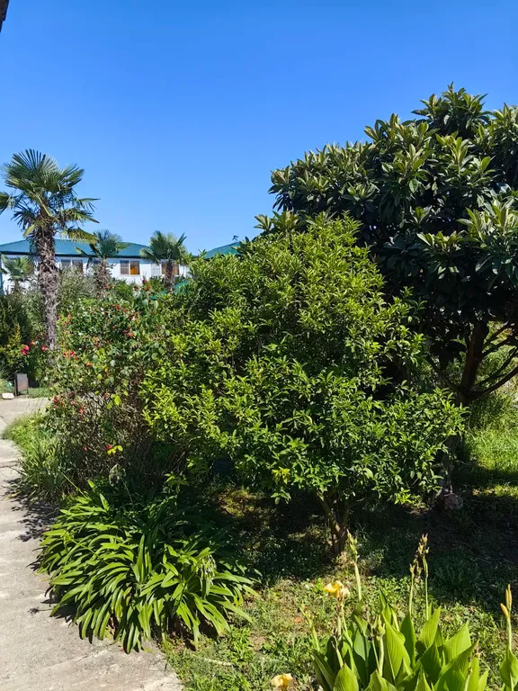 Новая студия в 4 минутах от моря