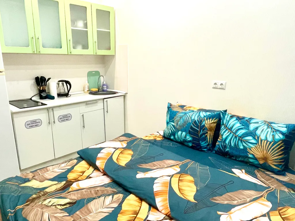 Светлая, очень уютная студия возле ЖД станции Звенигород