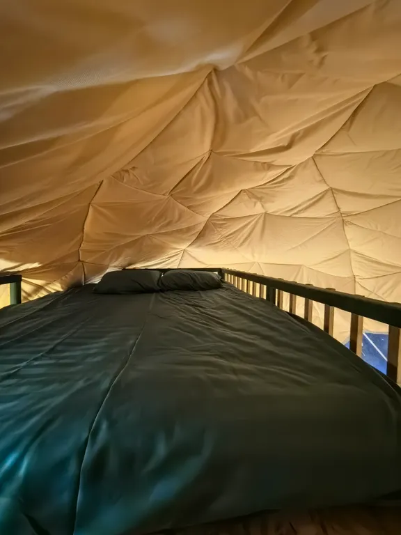 Купол в лесу