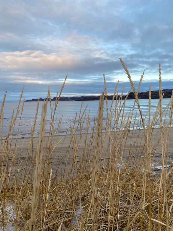 Мини дом для путешественников