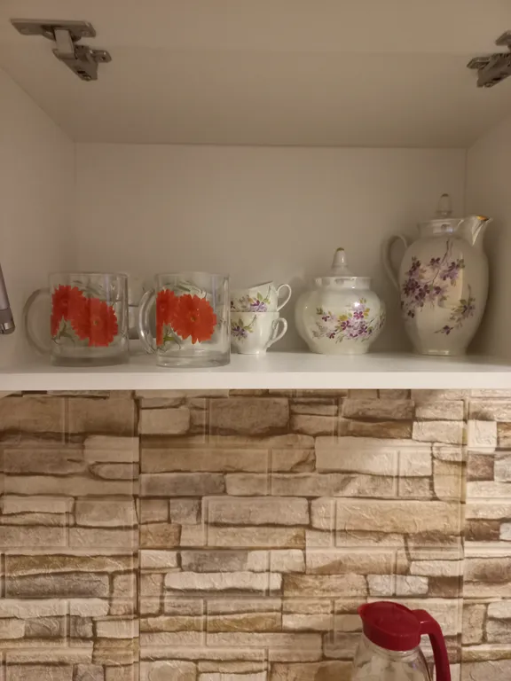 Уютная большая квартира с новым ремонтом