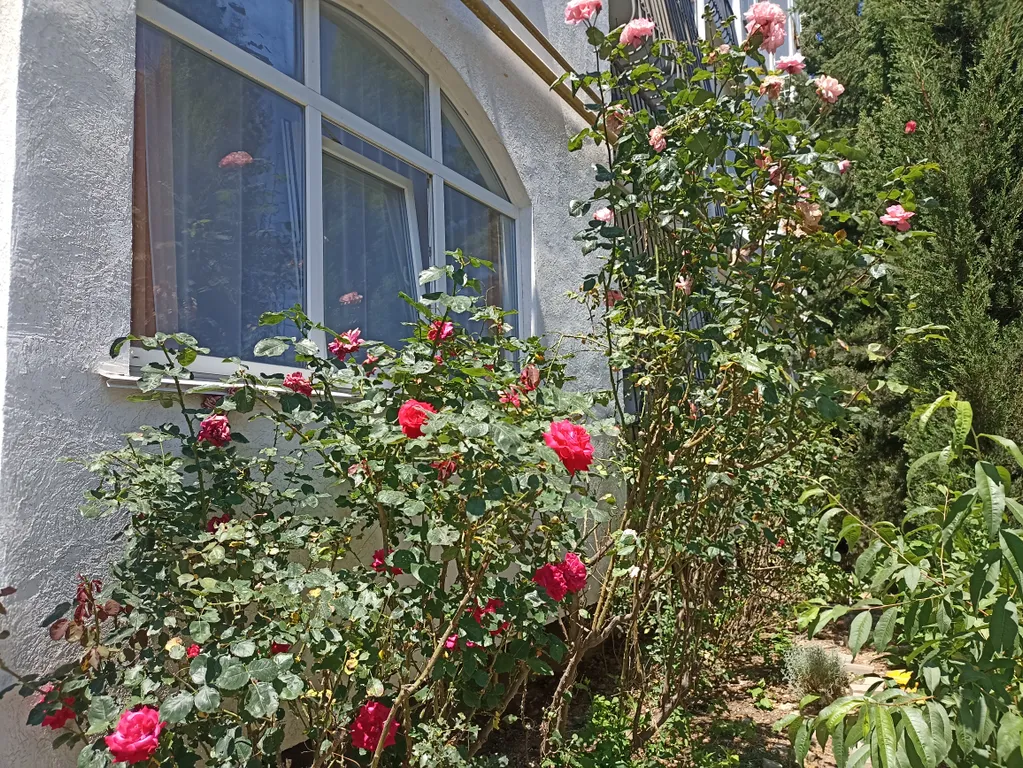 Квартира Квартира Омега — Севастополь