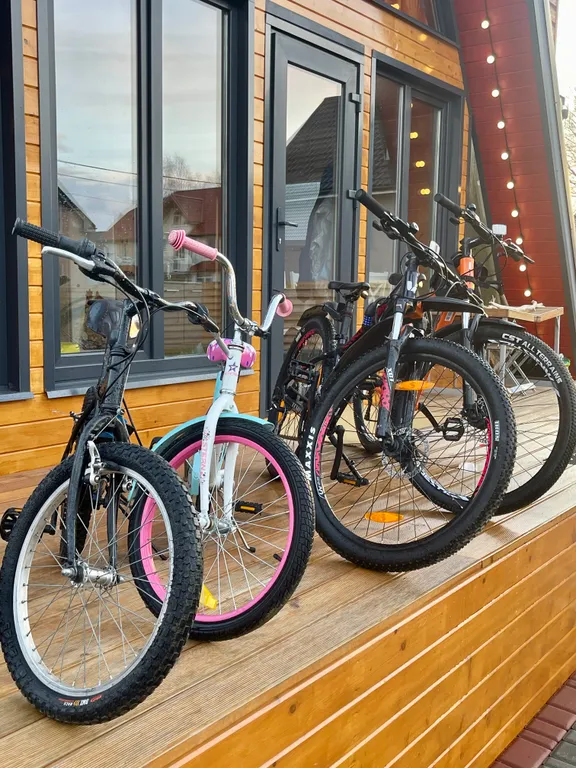 Дом с баней, караоке, PlayStation и Алисой на берегу моря