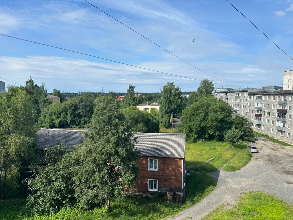 Тихое местечко вблизи леса