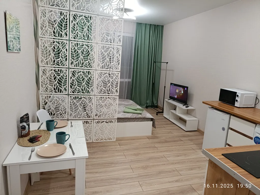 Студия с шикарным видом