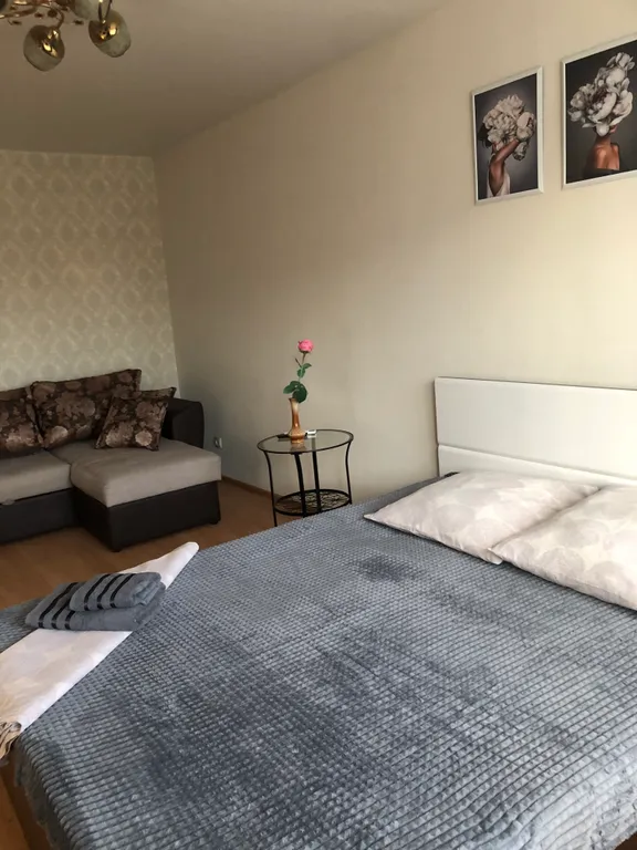 1к квартира, район площади Васнецова