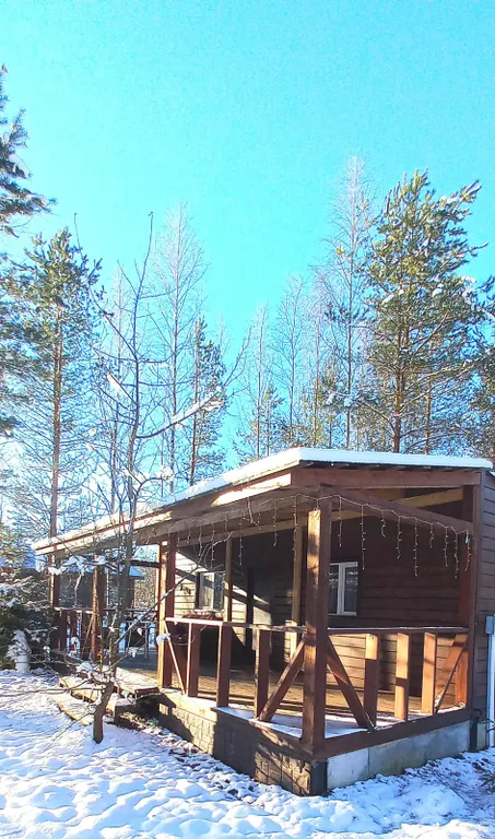 Гостевой дом На опушке леса