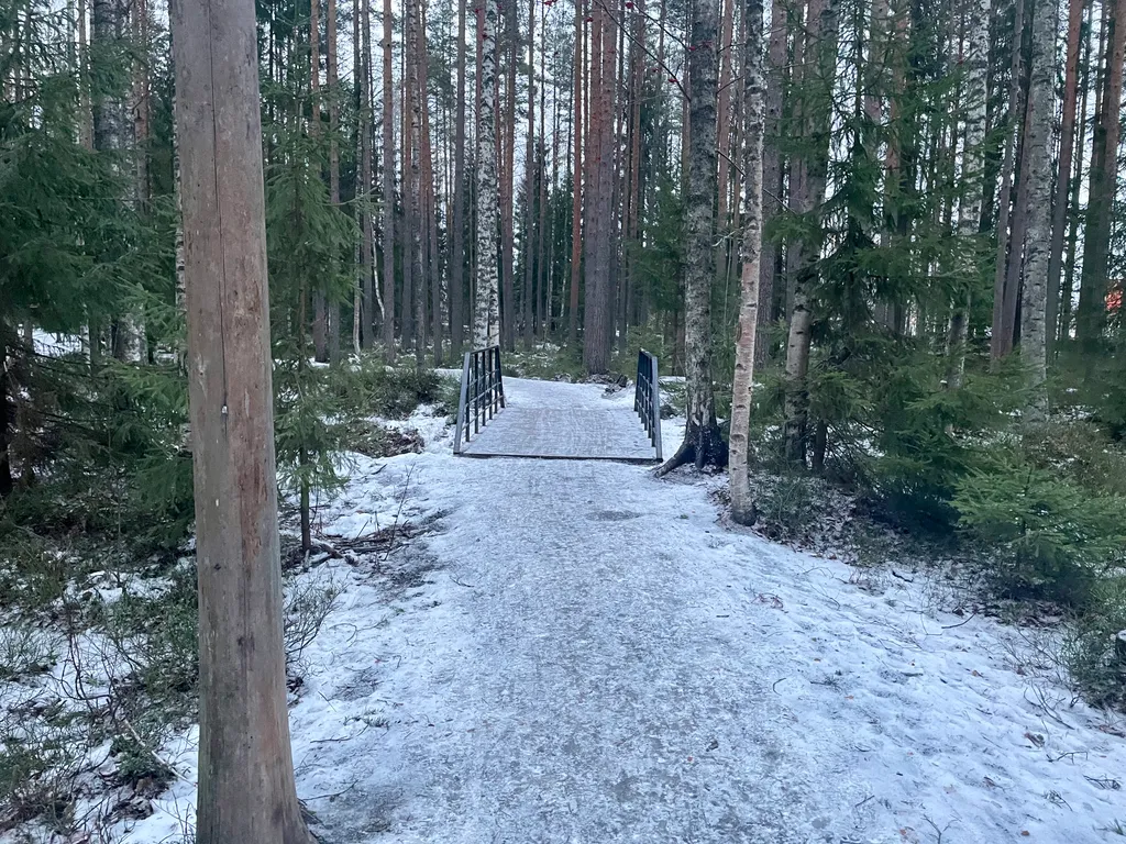 Уютная студия в новом эко-районе Петрозаводска
