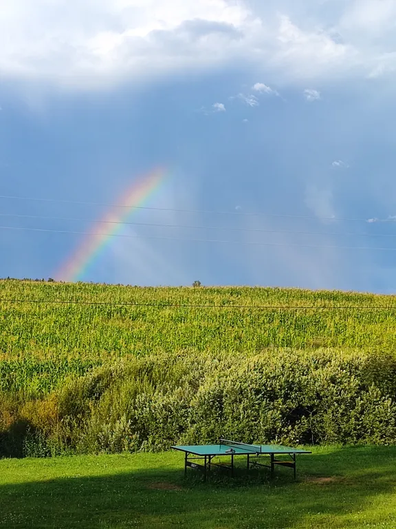 Просторный деревянный коттедж половина дома 2 этажа 4Л