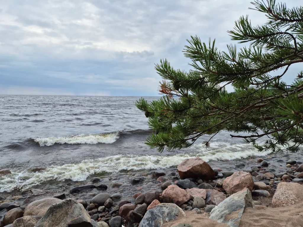 Коттедж Уютнейший дом с роскошным видом на озеро и пляжем.Карелия совсем рядом — Ларионово