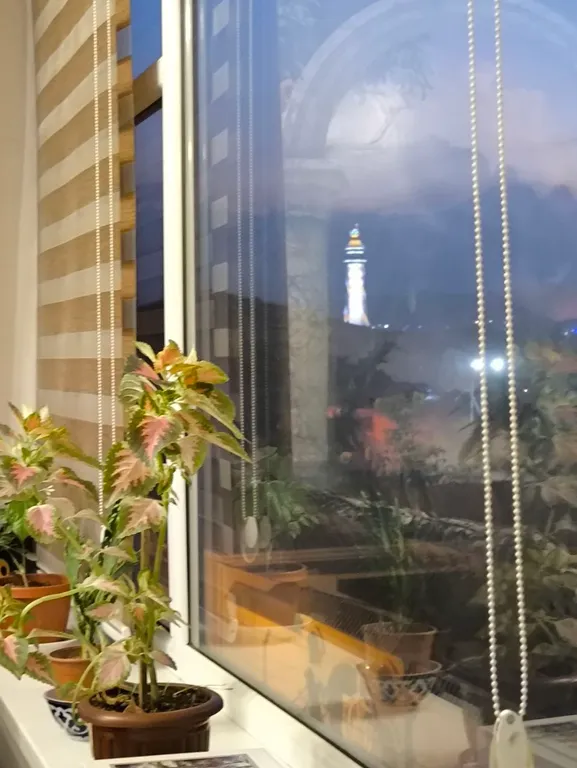 Апартаменты "Радж-Махал"