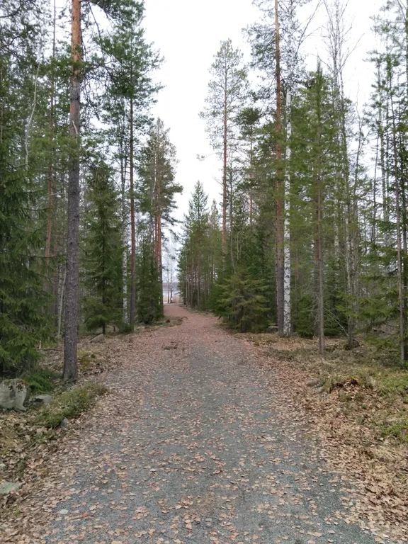 Уютный дом в Карелии