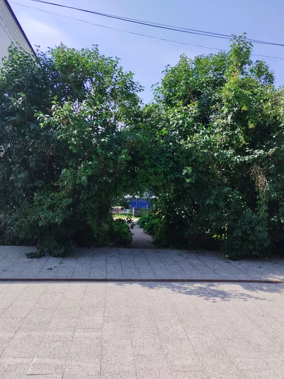 Уютная квартира в историческом центре