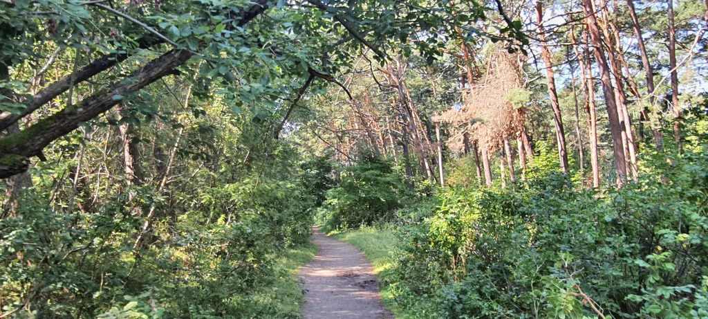 Уютный дом для нескучного отдыха на море