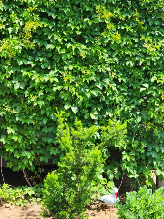 Домик у моря Оленевка