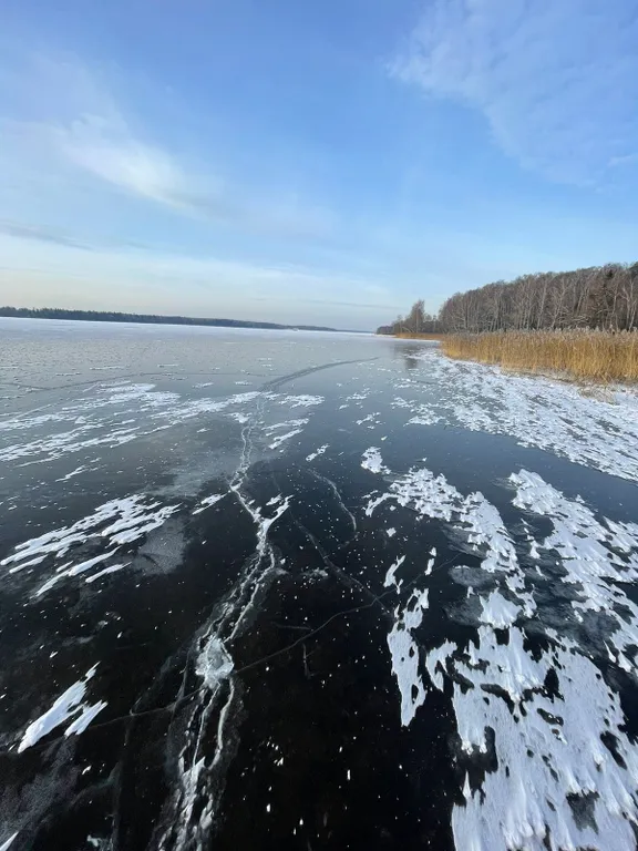 Барнхаус в лесу с розовой гостиной