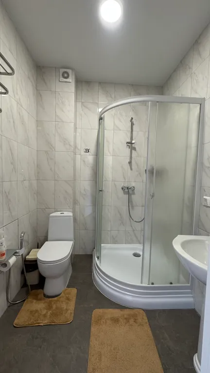 Студия Киви