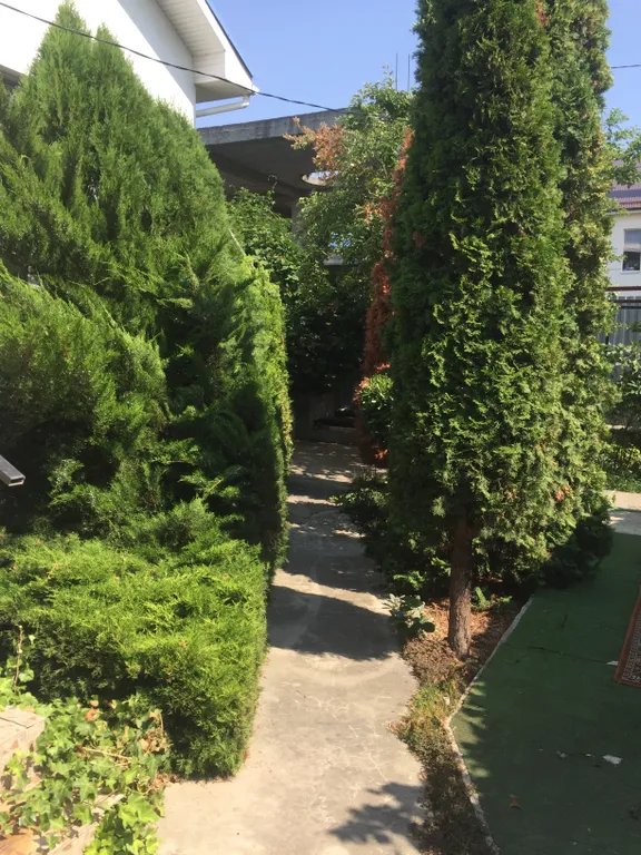 Коттедж Гостевой дом — Анапа