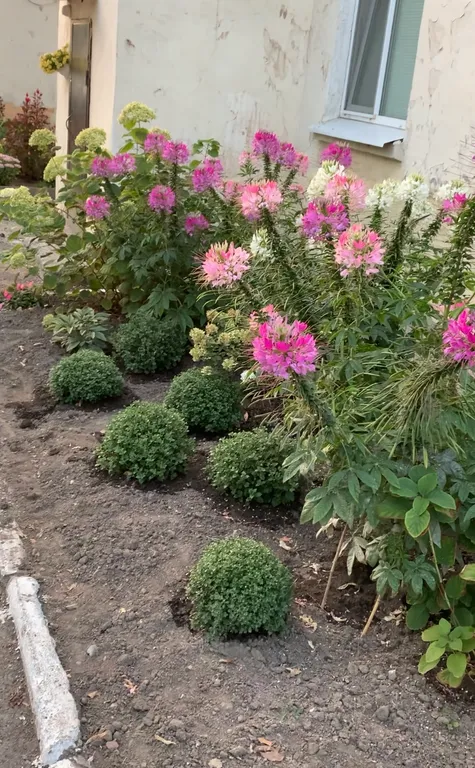 Студия в самом центре Артема