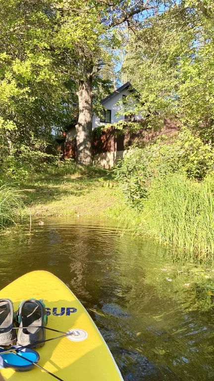 Дом в лесу у залива