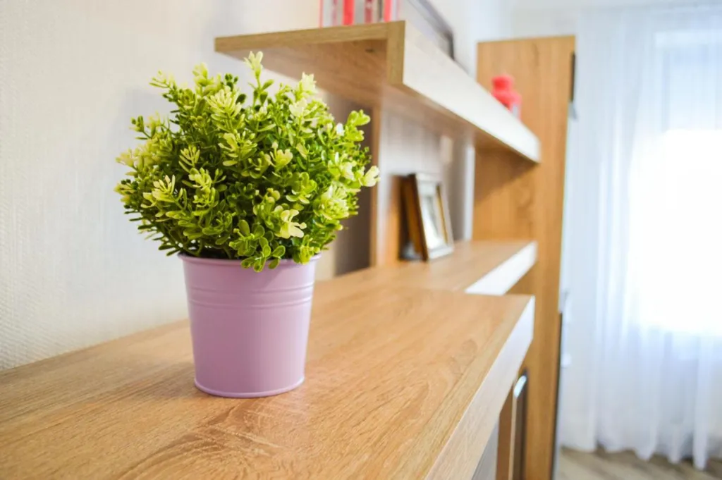 Квартира Квартира Cozy apartment — Светлогорск