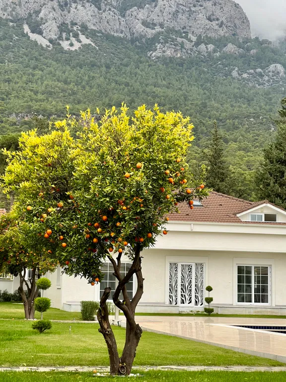 Идеальная квартира с видом на горы