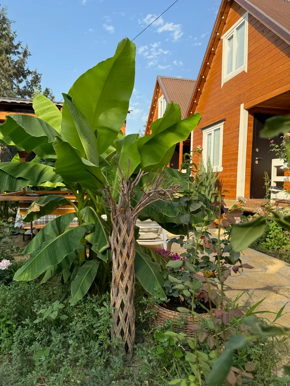 Коттедж - 3 на берегу моря