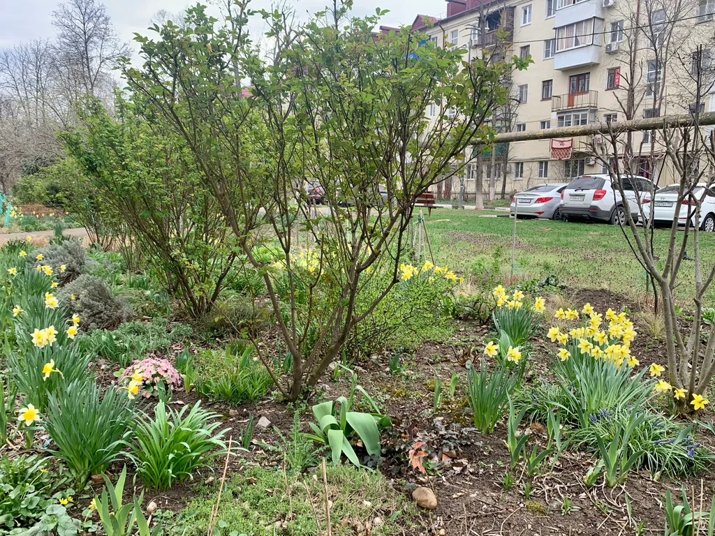 Квартира Просторная квартира возле лётного училища — Краснодар