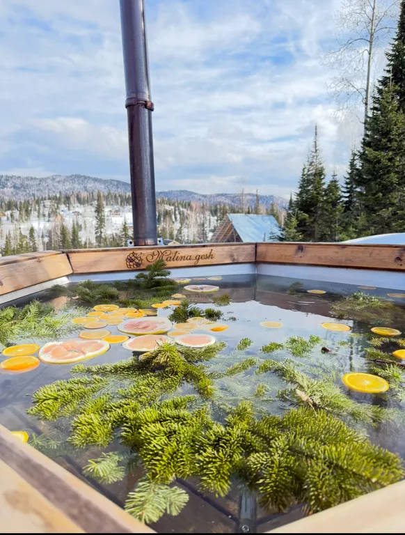 Дом барнхаус