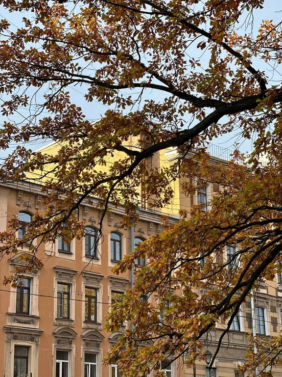Комната