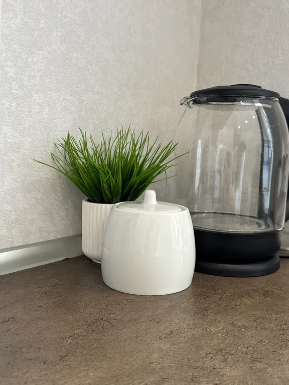 Апартаменты на пешеходной улице - центр города