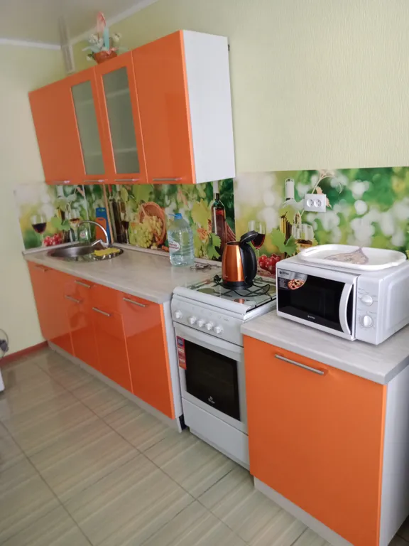 Однокомнатная квартира в Доме счастливого кота