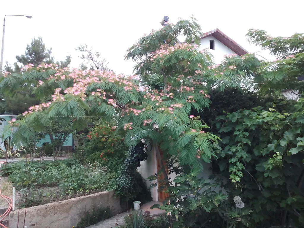 Отдельная часть дома с беседкой в саду