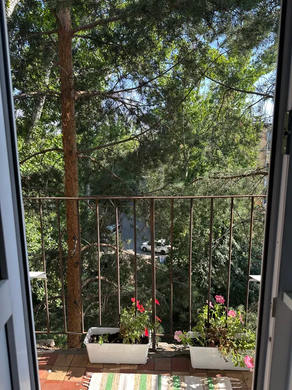 Квартира с видом на ели