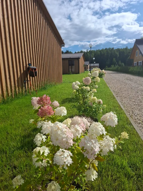 Трёхкомнатный коттедж в лесу у пруда
