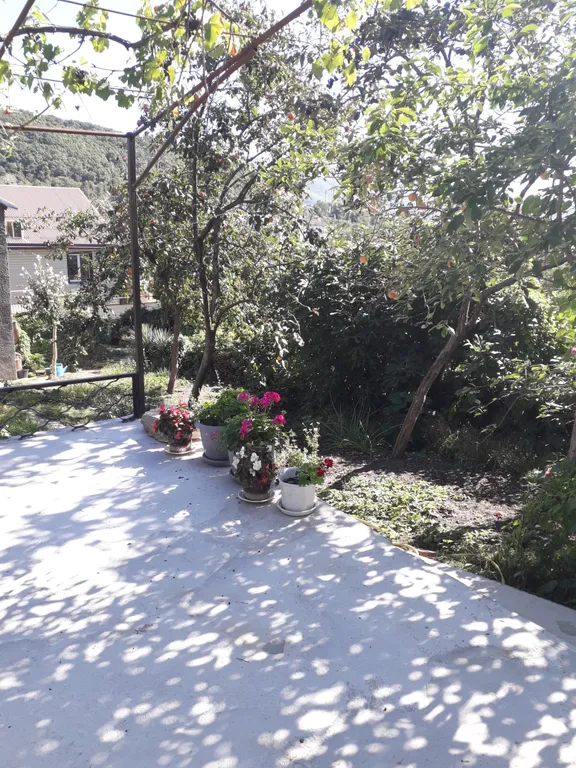 Целый дом с садом и двориком