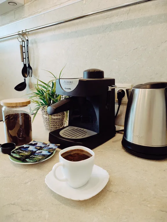 Bliss aparts Pobeda 21a