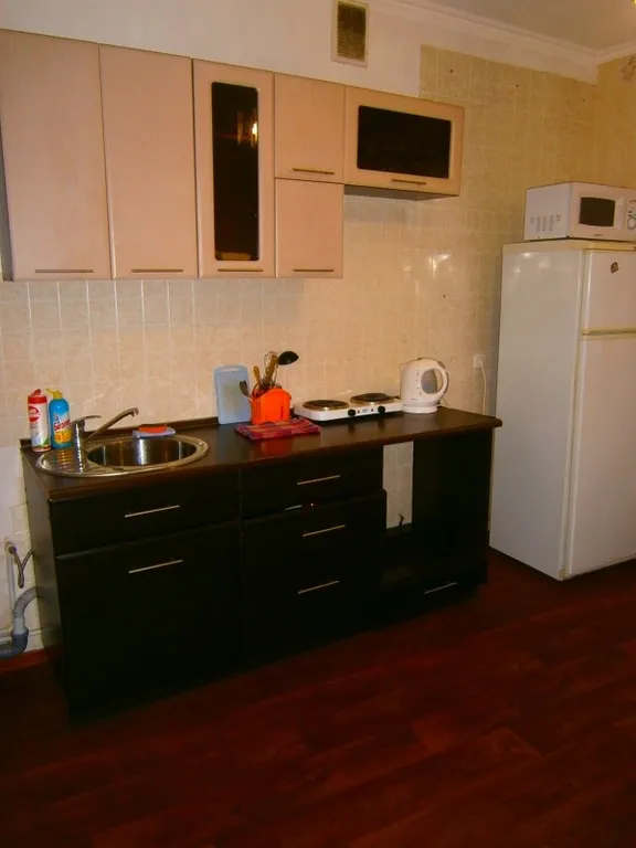 Просторная квартира у реки