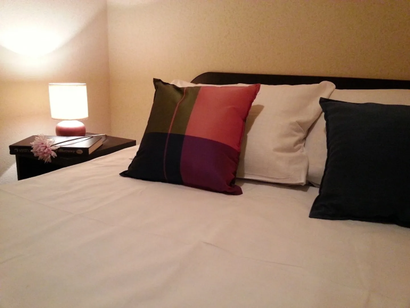 Комфортное спальное место, перьевые или синтетические подушки