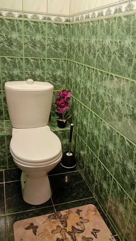 Однокомнатная квартира в центре города