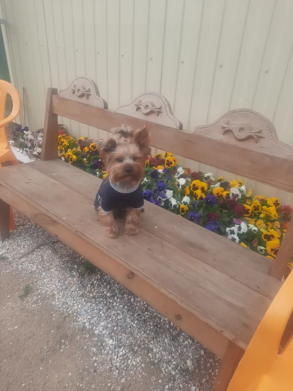 Уютный дом на берегу моря