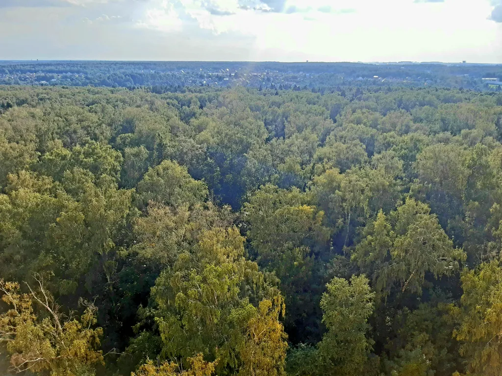 Квартира с джакузи и потрясающим видом на лес