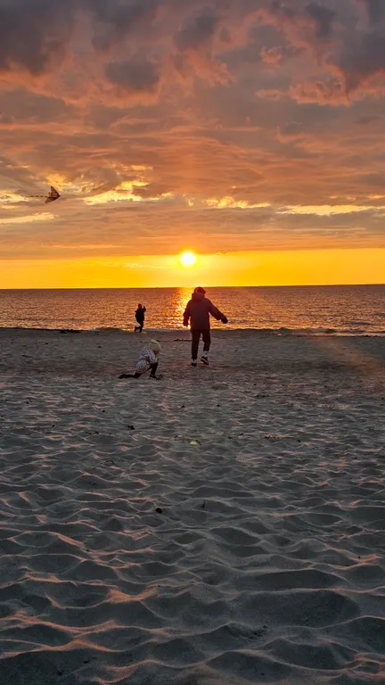 Дача вдохновения на море