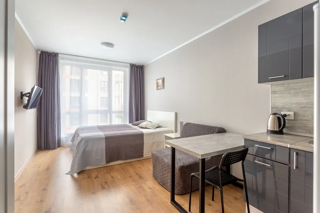 Студия у метро Парнас