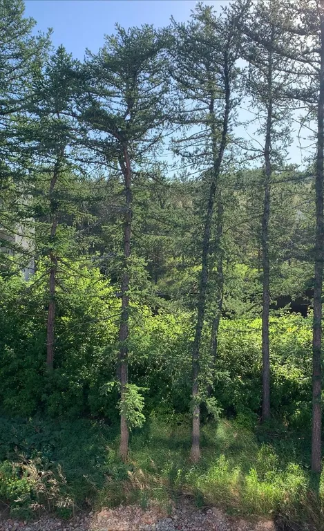 Прекрасная квартира