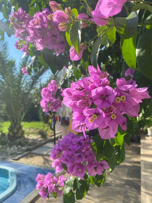 Дом в живописной деревне у моря с бассейном